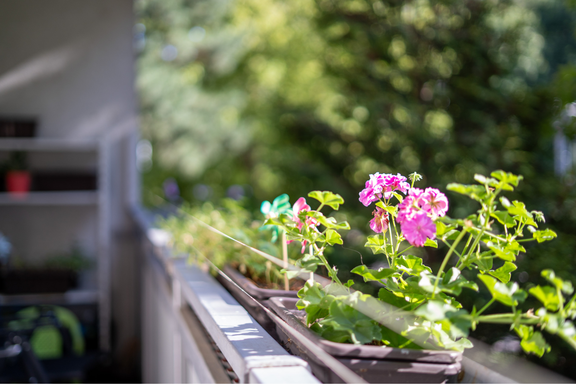 Pekný 3-izbový byt na predaj – Segnerova ulica, Karlova Ves