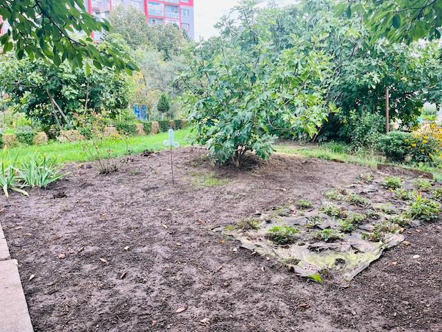 Na predaj záhradka 251 m² v osobnom vlastníctve