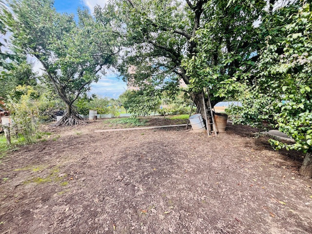 Na predaj záhradka 251 m² v osobnom vlastníctve