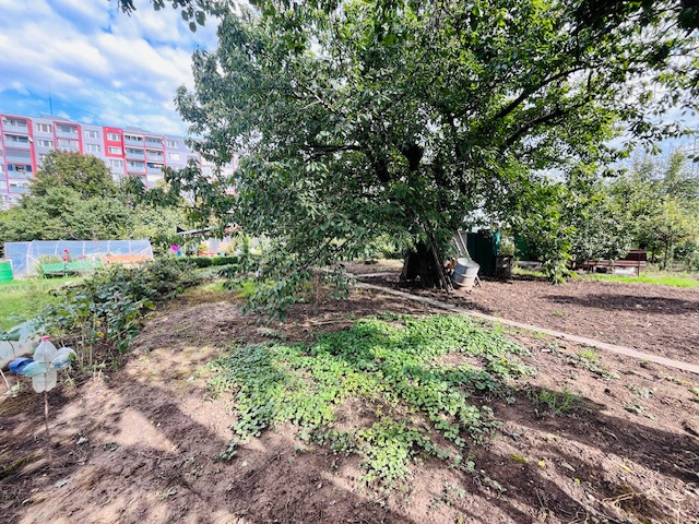 Na predaj záhradka 251 m² v osobnom vlastníctve