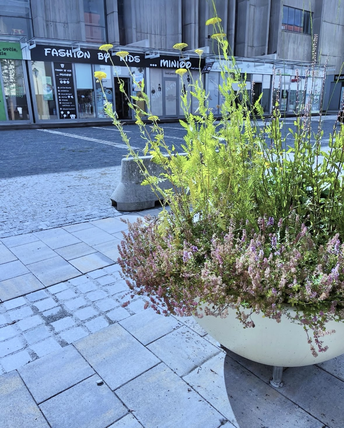 Na predaj: Zabehnutá obchodná značka v centre Trnavy