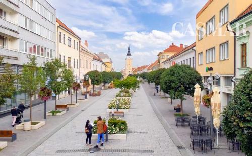 Na prenájom obchodné priestory na pešej zóne v centre mesta