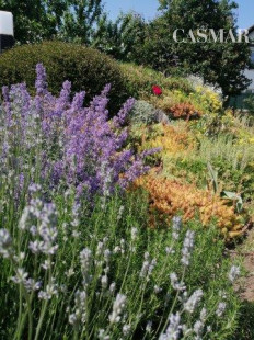 PREDAJ – VEĽKÝ 7-IZBOVÝ RODINNÝ DOM V TRNAVE, VHODNÝ NA BÝVANIE AJ PODNIKANIE