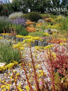 PREDAJ – VEĽKÝ 7-IZBOVÝ RODINNÝ DOM V TRNAVE, VHODNÝ NA BÝVANIE AJ PODNIKANIE