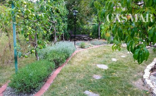 Moderný 6-izbový rodinný dom s veľkou záhradou, altánkom a bazénom – Dolné Orešany