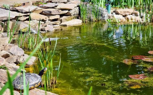 Moderný 6-izbový rodinný dom s veľkou záhradou, altánkom a bazénom – Dolné Orešany