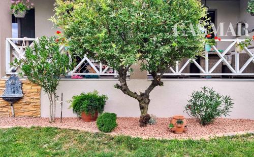 Moderný 6-izbový rodinný dom s veľkou záhradou, altánkom a bazénom – Dolné Orešany