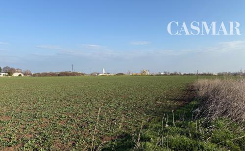 NOVÁ CENA! Na predaj priemyselný pozemok v tesnej blízkosti Trnavy