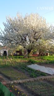 Na predaj záhradka 251 m² v osobnom vlastníctve