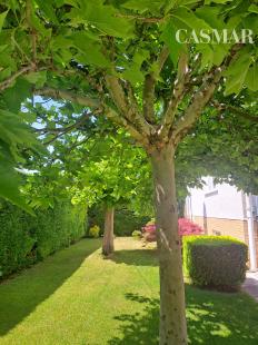 🏡 Rodinný dom s dvoma bytovými jednotkami a záhradou v obľúbenej lokalite Kopánka – Trnava