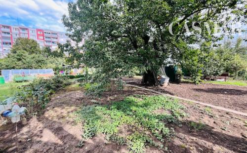 Na predaj záhradka 251 m² v osobnom vlastníctve