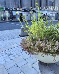 Na predaj: Zabehnutá obchodná značka v centre Trnavy