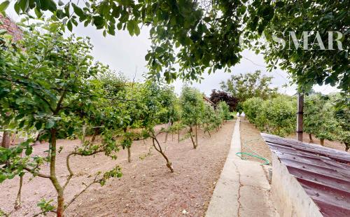 3-izbový rodinný dom s veľkým pozemkom 1454 m²