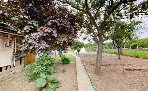 3-izbový rodinný dom s veľkým pozemkom 1454 m²