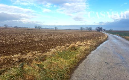 CASMAR RK ponúka na predaj pôdu v katastrálnom území Zvončín popri asfaltovej ceste