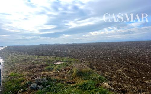 CASMAR RK ponúka na predaj pôdu v katastrálnom území Zvončín popri asfaltovej ceste
