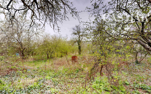 🏡 Vidiecky rodinný dom s veľkou záhradou a vínnou pivničkou – Trstín