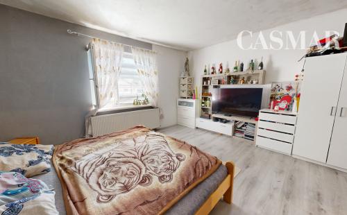 RD s veľkým pozemkom 2380m2 v Dolných Salibách
