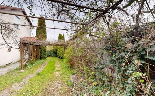 🏡 Vidiecky rodinný dom s veľkou záhradou a vínnou pivničkou – Trstín