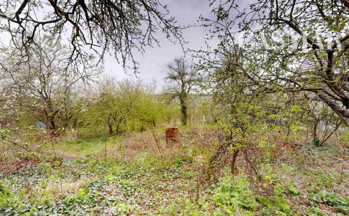 🏡 Vidiecky rodinný dom s veľkou záhradou a vínnou pivničkou – Trstín