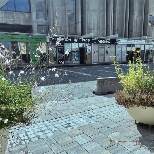 Na predaj: Zabehnutá obchodná značka v centre Trnavy