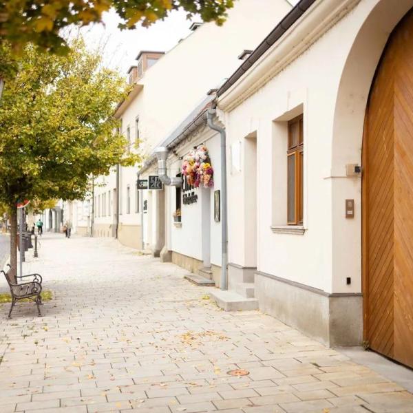 OBCHODNÉ PRIESTORY V CENTRE TRNAVY – HALENÁRSKA ULICA